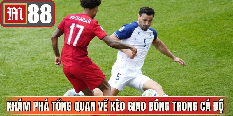 Khám phá tổng quan về kèo giao bóng trong cá độ 